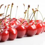 Cherries on white background – studio shot